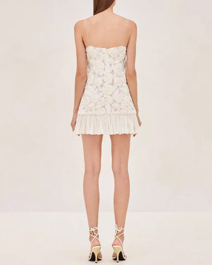 Ivory Embroidered Blanc Dress