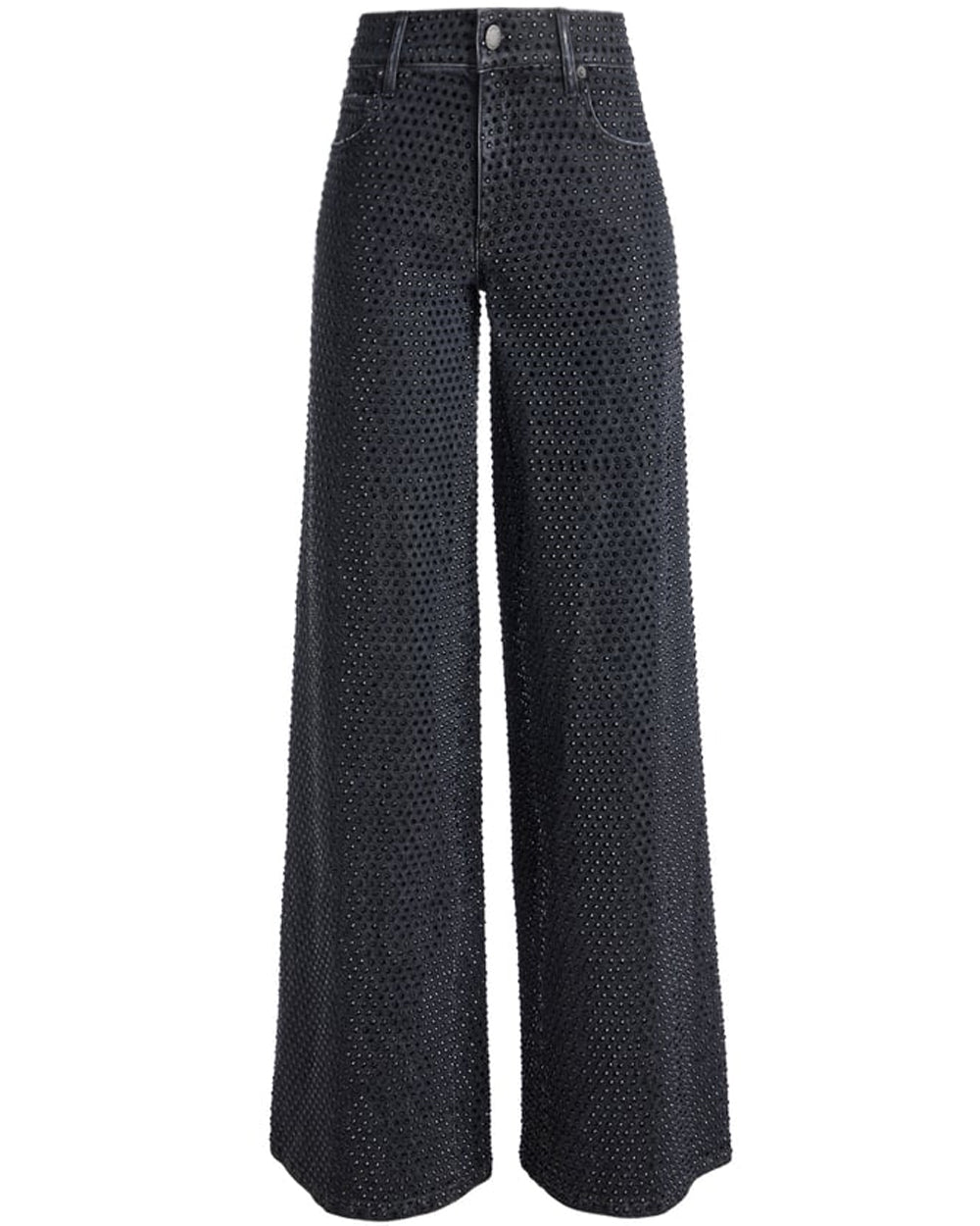 Low Rise Embellished Trish Baggy Jean in Maya Charcoal Black