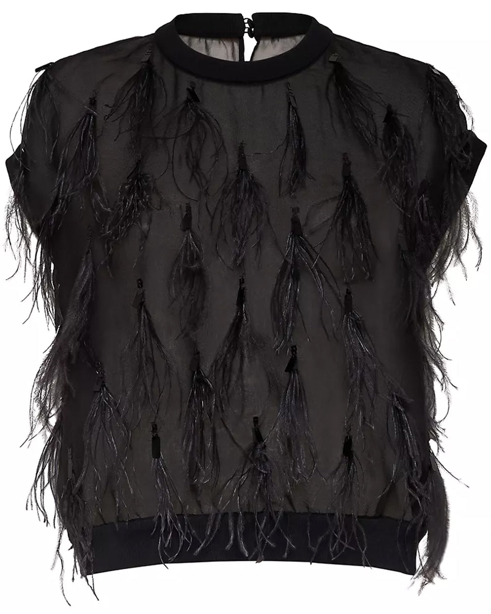 Volcano Feather Embellished Chiffon Blouse