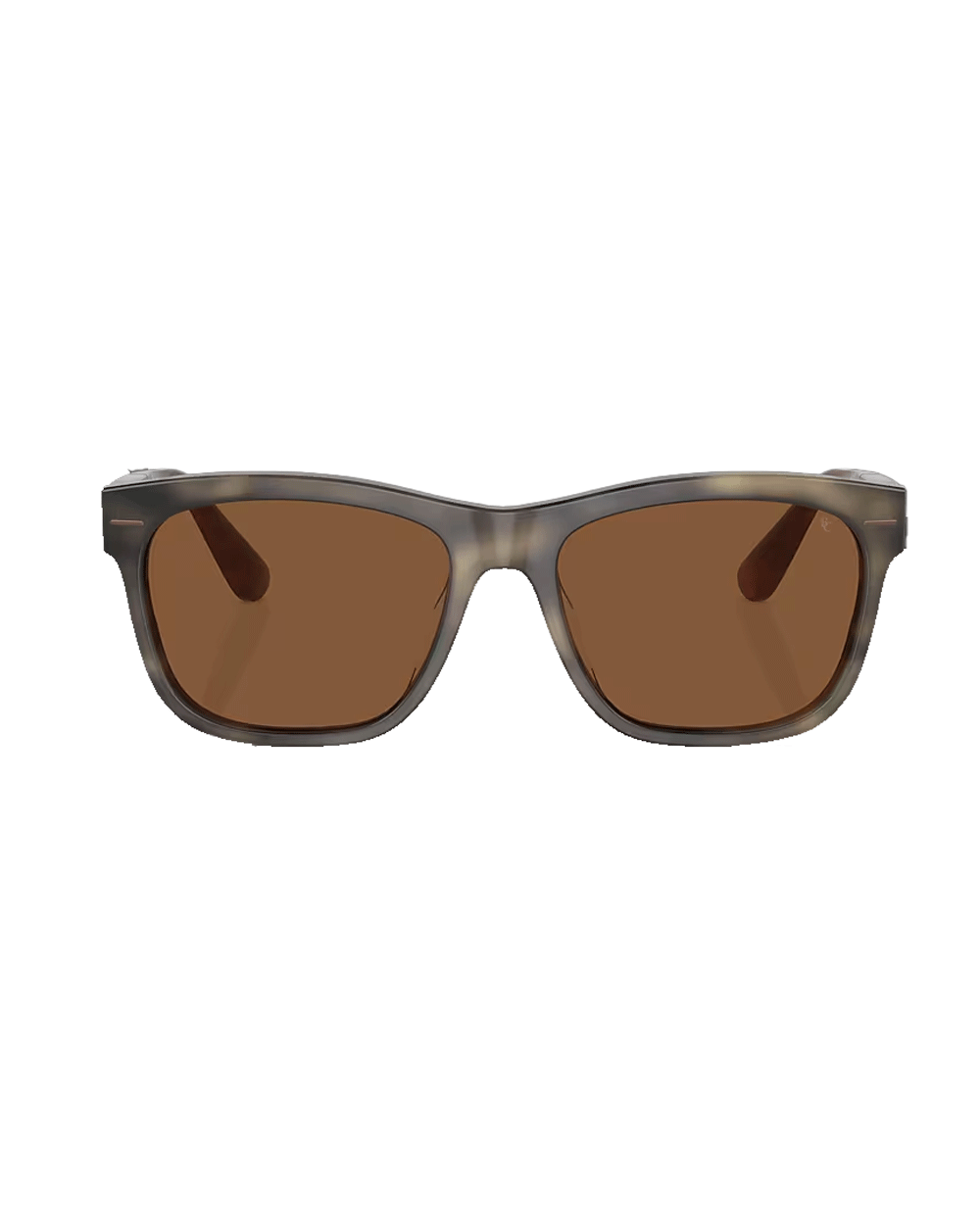 Acetate Sunglasses in Taupe and Brown