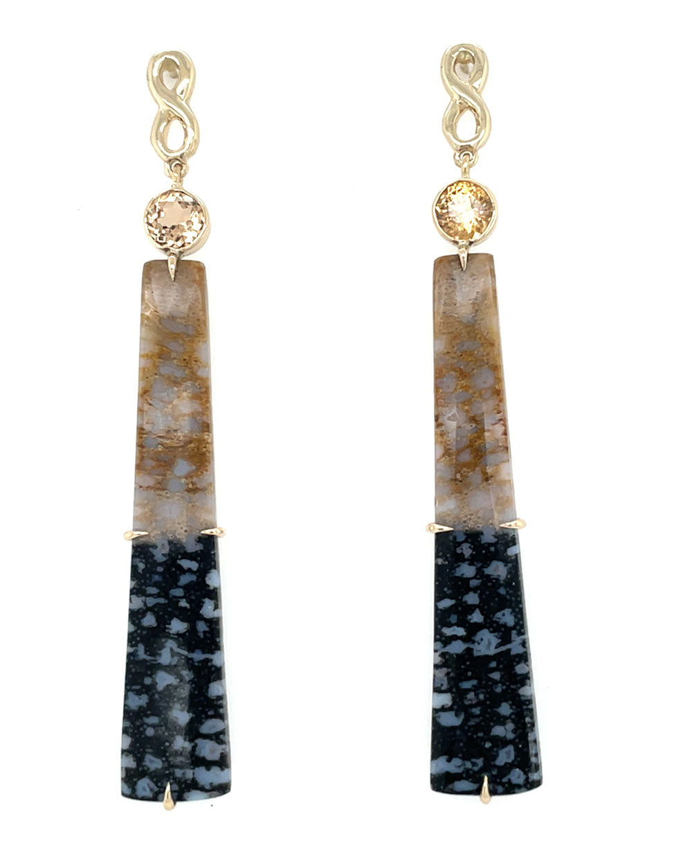 Fossilized Wood and Blue Opal Earrings