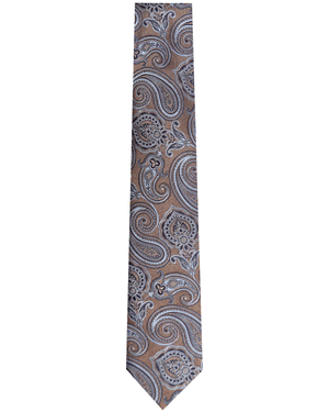 Brown and Blue Paisley Silk Tie