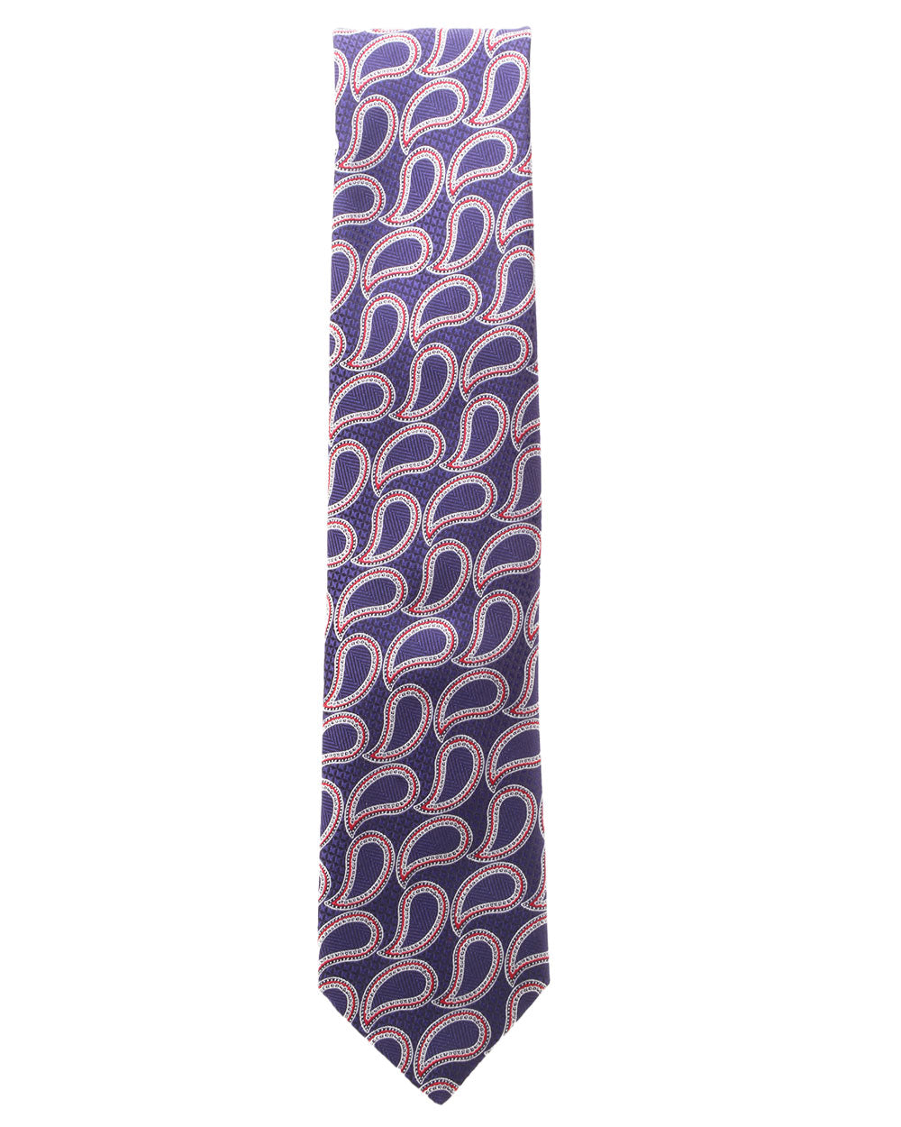 Navy and Red Exploded Paisley Silk Tie