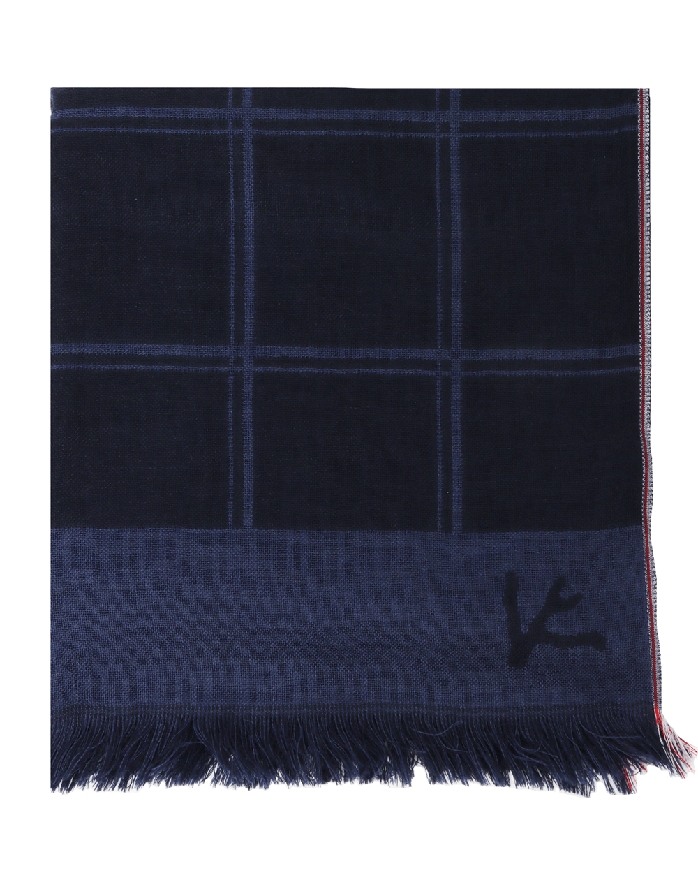 Blue Plaid Fantasia Scarf