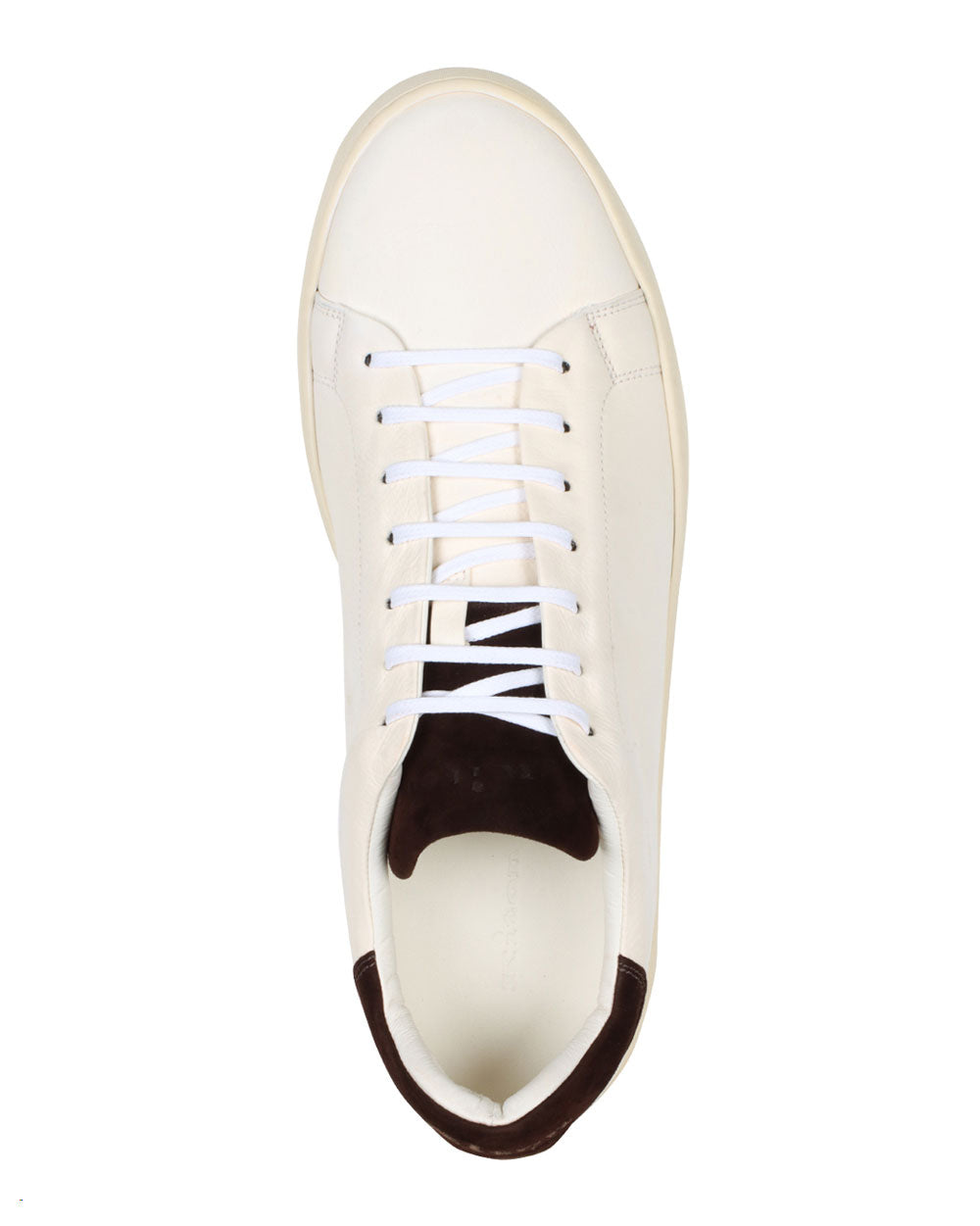 Leather Sneaker in Ivory and Chocolate