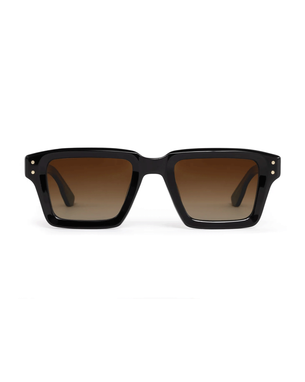 Carter Polarized Sunglasses in Black Tea