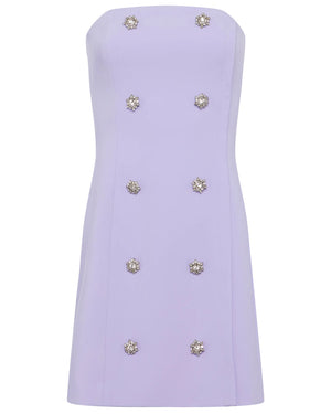 Pale Lilac Felda Bustier Dress