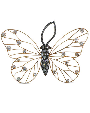 Golconda Butterfly Wing Brooch