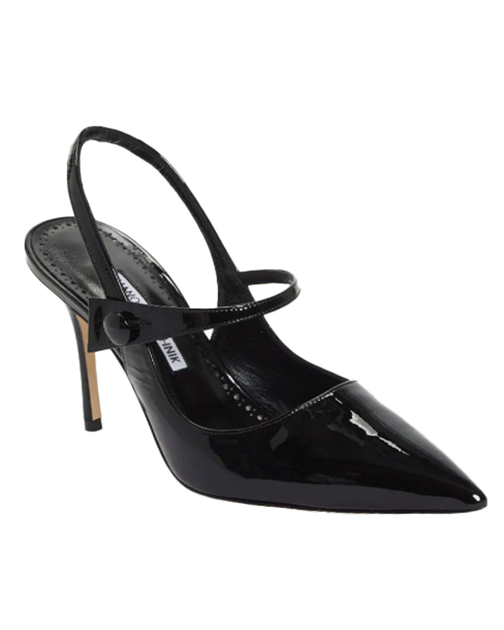 Didion Pointed Toe Slingback Pump in Black