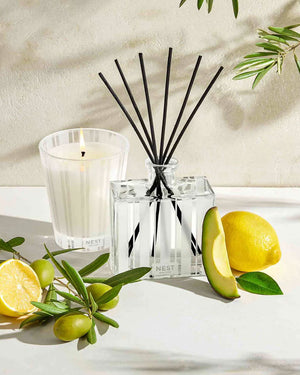 Santorini Olive and Citron Classic Candle