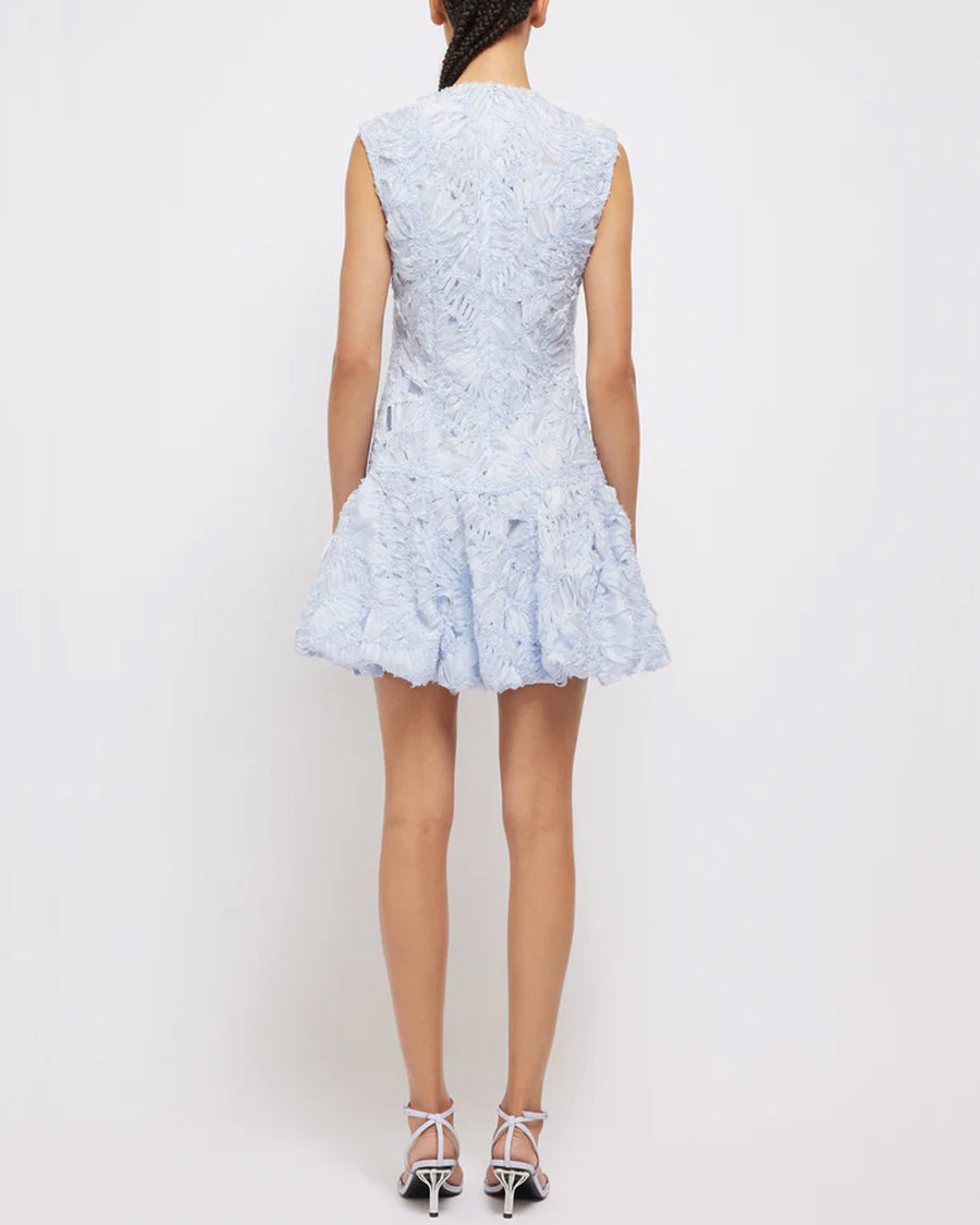 Blue Haze Sleeveless Vallan Mini Dress