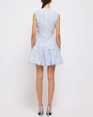 Blue Haze Sleeveless Vallan Mini Dress