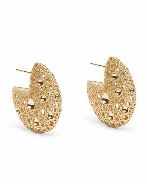 Jali Celestial Domed Earrings