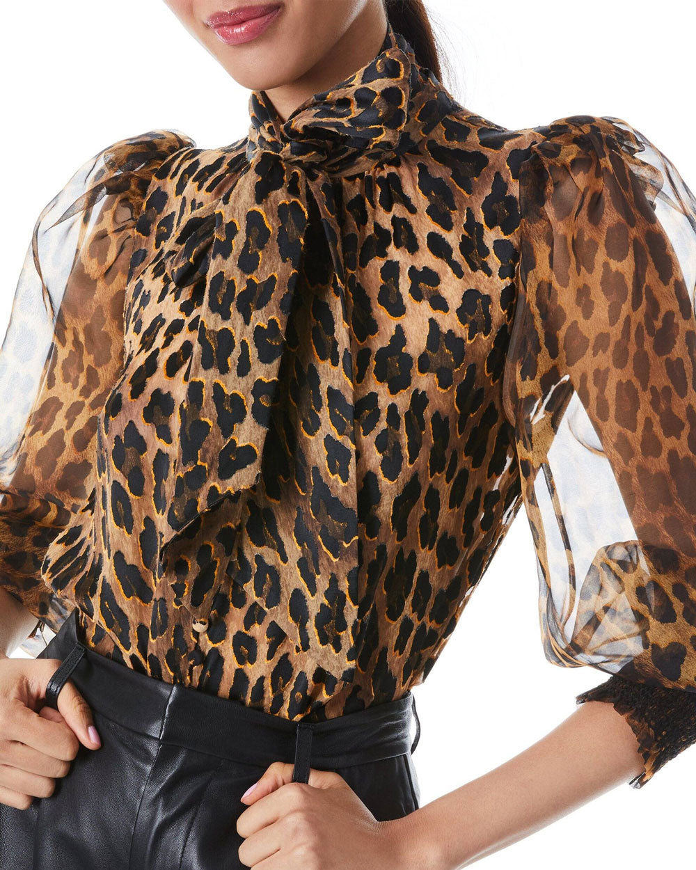 Leopard Brentley Tie Neck Blouson Sleeve Blouse