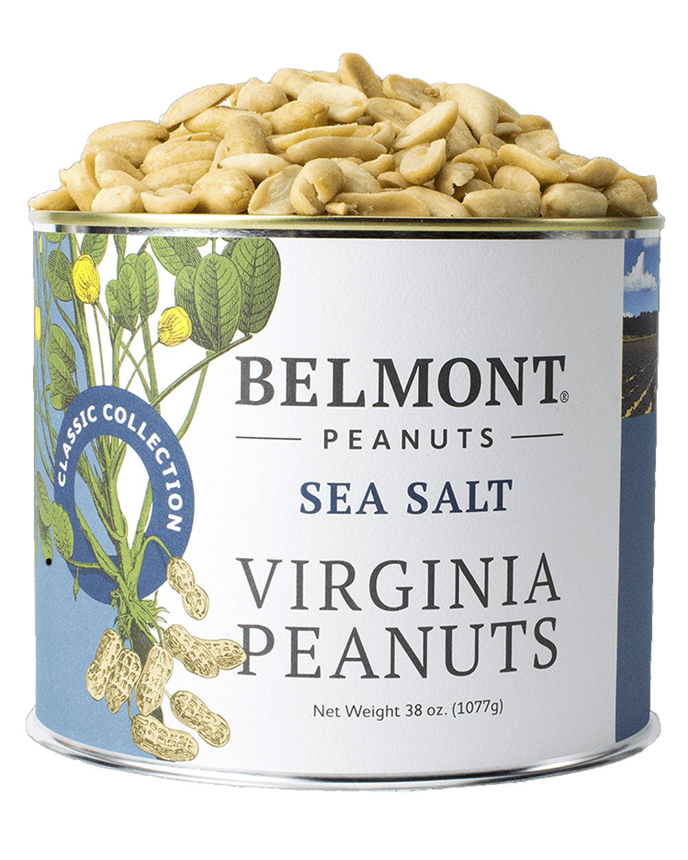 Sea Salt Virginia Peanuts 38oz