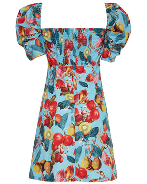 Blue Fruit Print Kelly Mini Dress