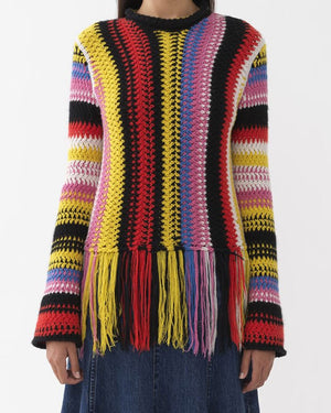 Multicolor Fringe Knit Top