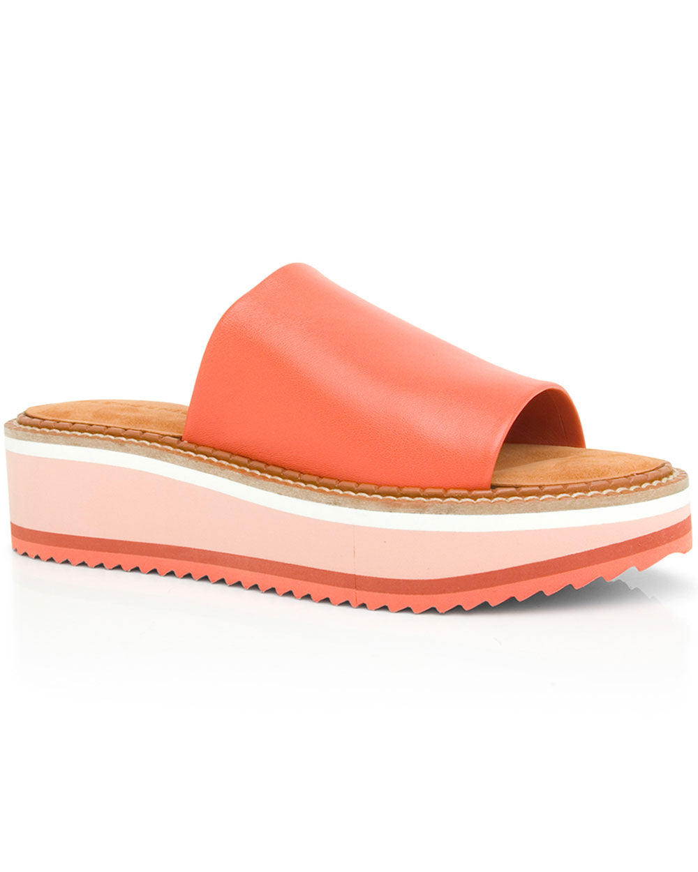Fast Slide in Coral
