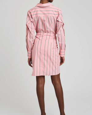 Pink Stripe Tie Waist Charlotte Shirt Dress