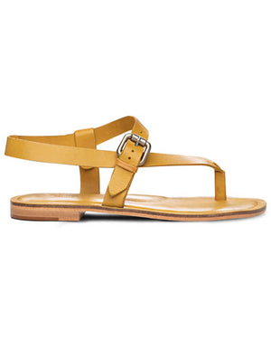 Roma Leather Thong Sandal in Yellow Fever