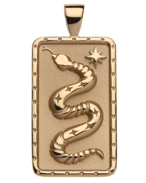 Protect Dog Tag Snake Pendant Rolo Chain Necklace