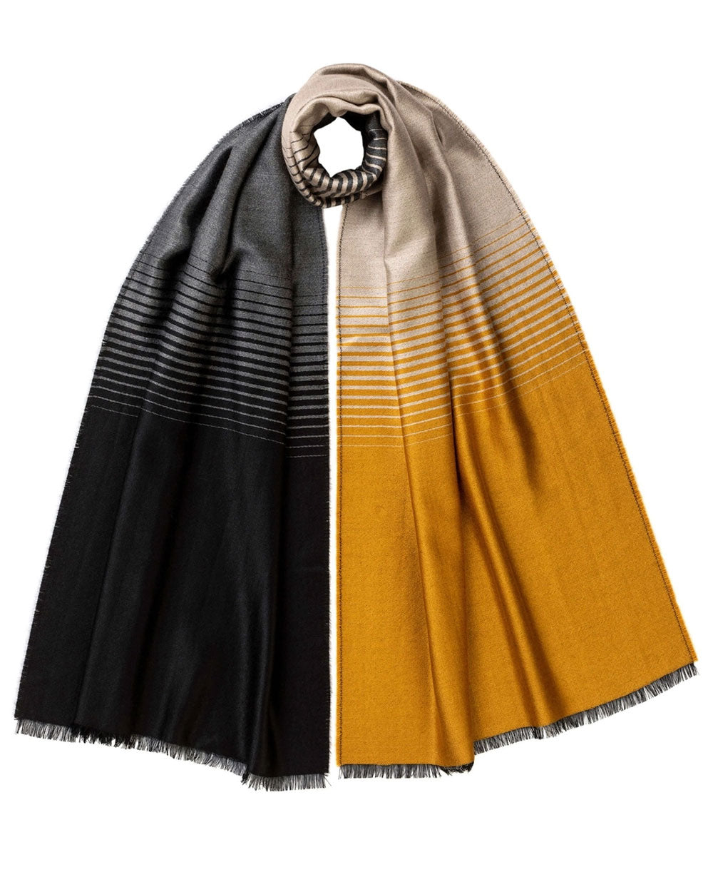 Cashmere Blend Ombre Scarf in Gorse