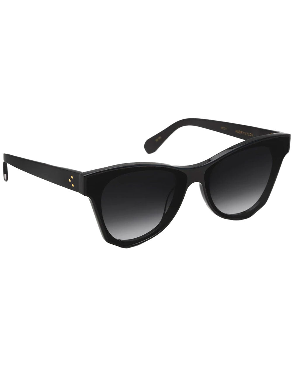 Aubry Nylon Sunglasses in Black and Shadow