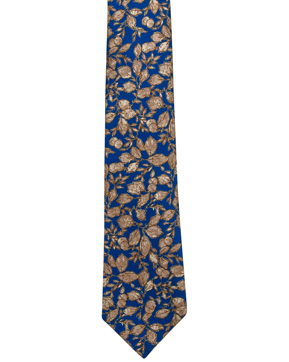 Blue with Beige Foliage Print Tie