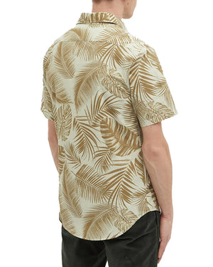 Errico Brown Short Sleeve Shirt