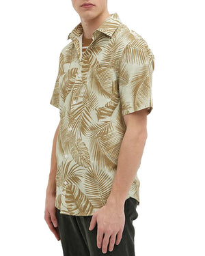Errico Brown Short Sleeve Shirt