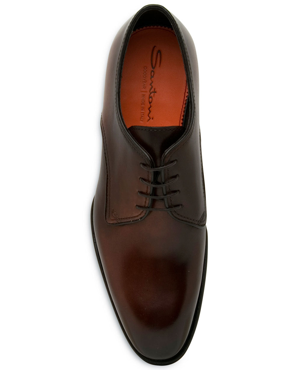 Erion Lace Up in Brown