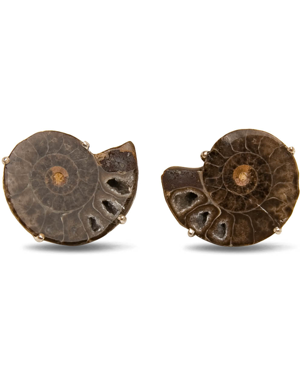 Black Madagascar Ammonite Cufflinks